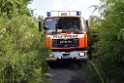 Waldbrand Koeln Hoehenhaus Hoehenfelder Mauspfad P053